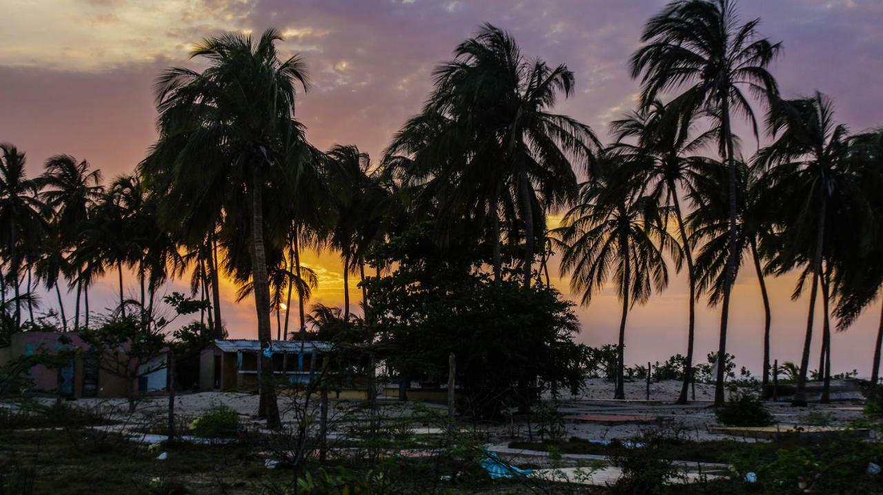 Playa Samara Hostel Camarones Eksteriør bilde