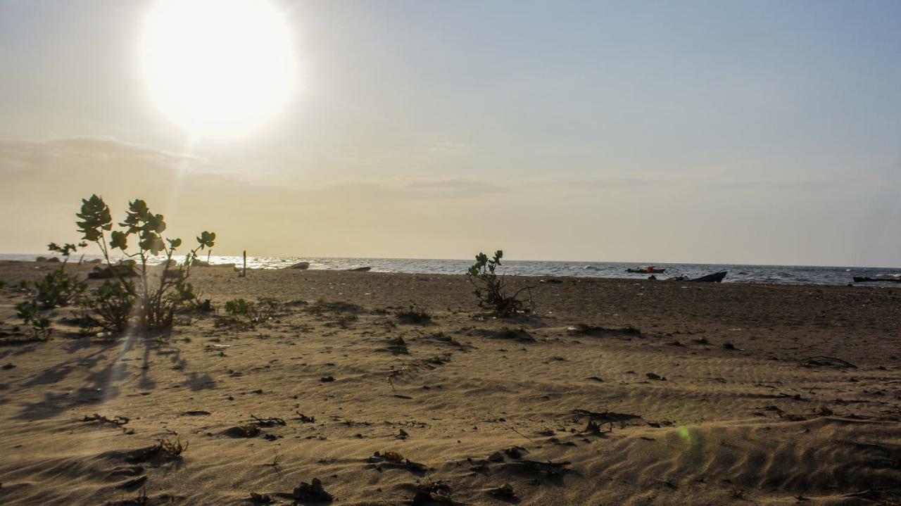 Playa Samara Hostel Camarones Eksteriør bilde